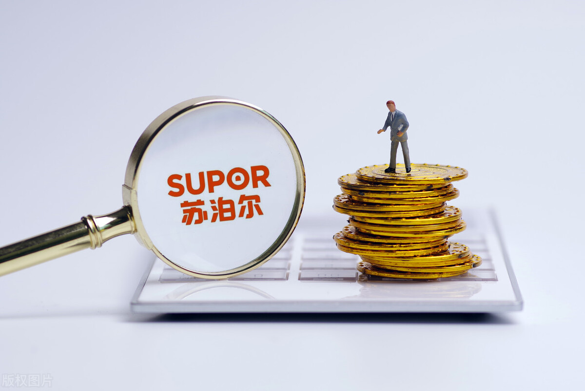 苏泊尔股权激励多少钱一股,苏泊尔2004上市给股东分红