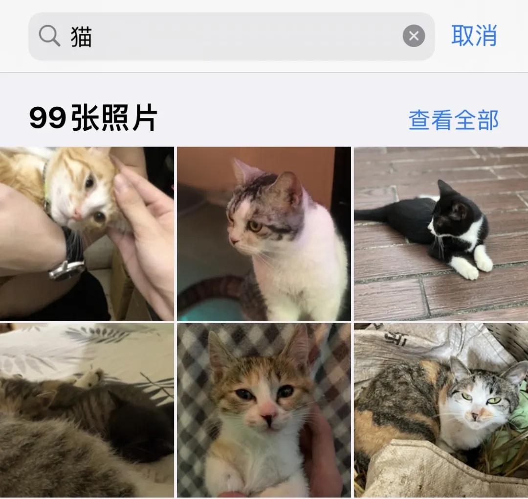 iphone相册的使用技巧,iphone相册隐藏怎么调出来