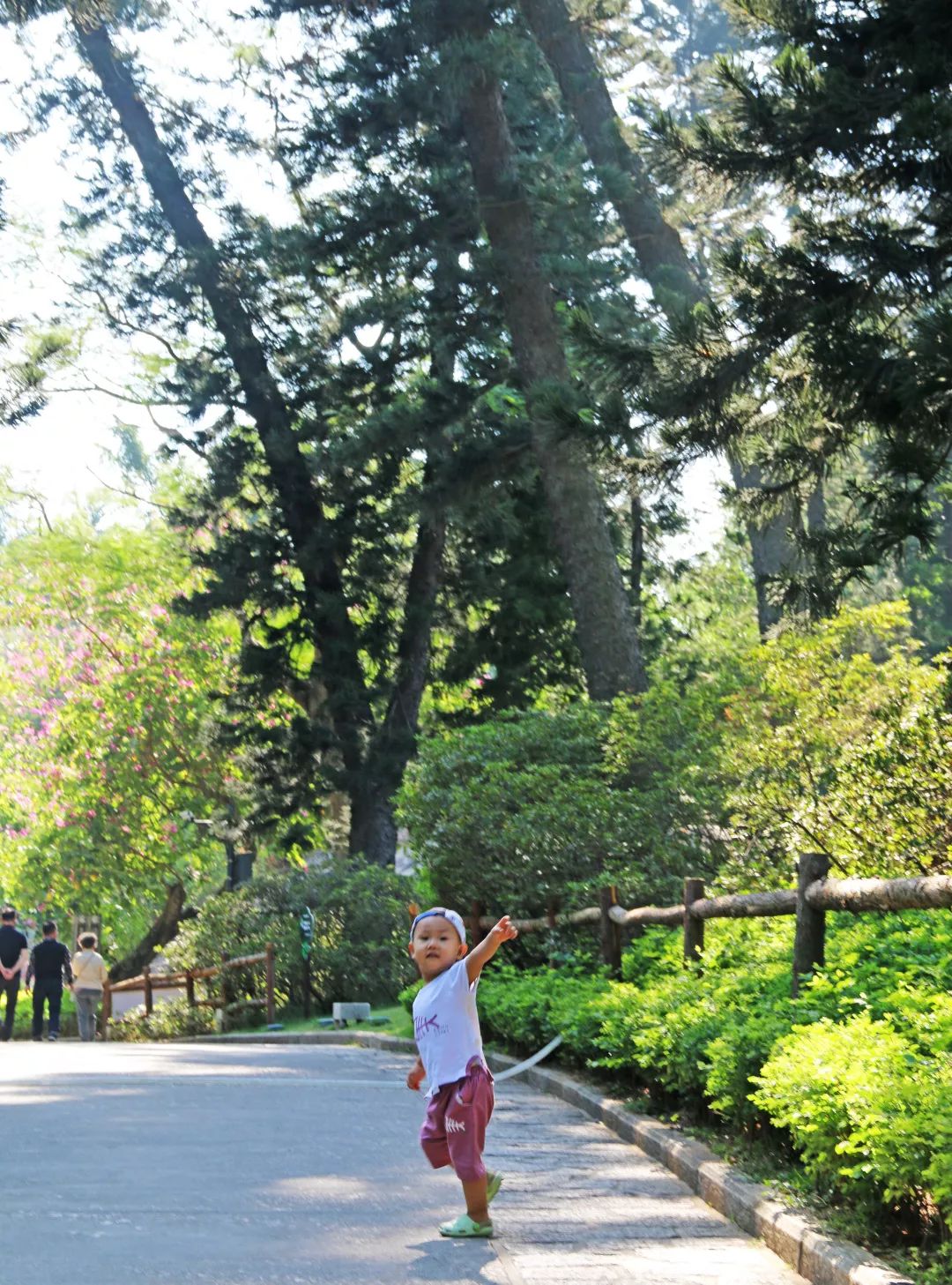 厦门亲子旅行攻略,厦门北站亲子宾馆