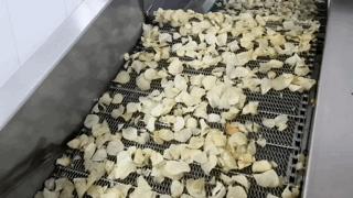 一只薯种出万元田！“*党**建+特色农业”让资源贫乏村“点”亮“薯”光大道