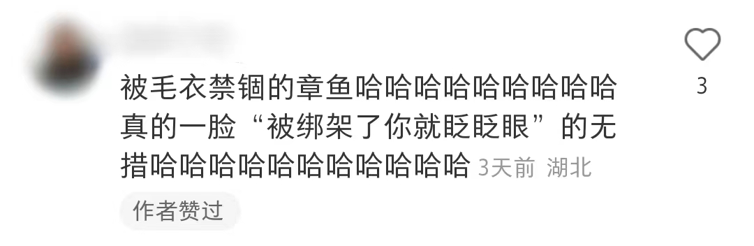 给jellycat海盗狗起名,jellycat全部款式