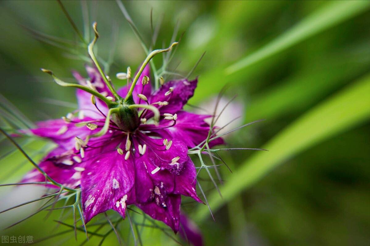 感恩母亲节祝自己节日快乐,母亲节感恩祝福词妈妈我爱你