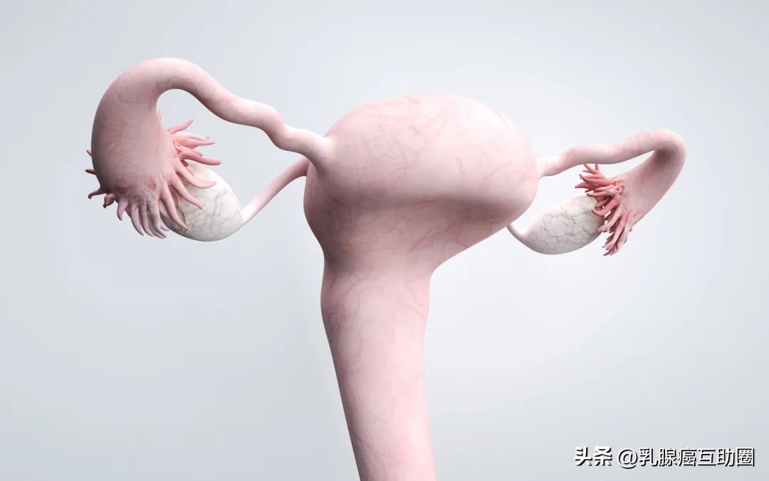 乳腺癌患者治疗完来例假正常吗,乳腺癌治好了不能来月经吗