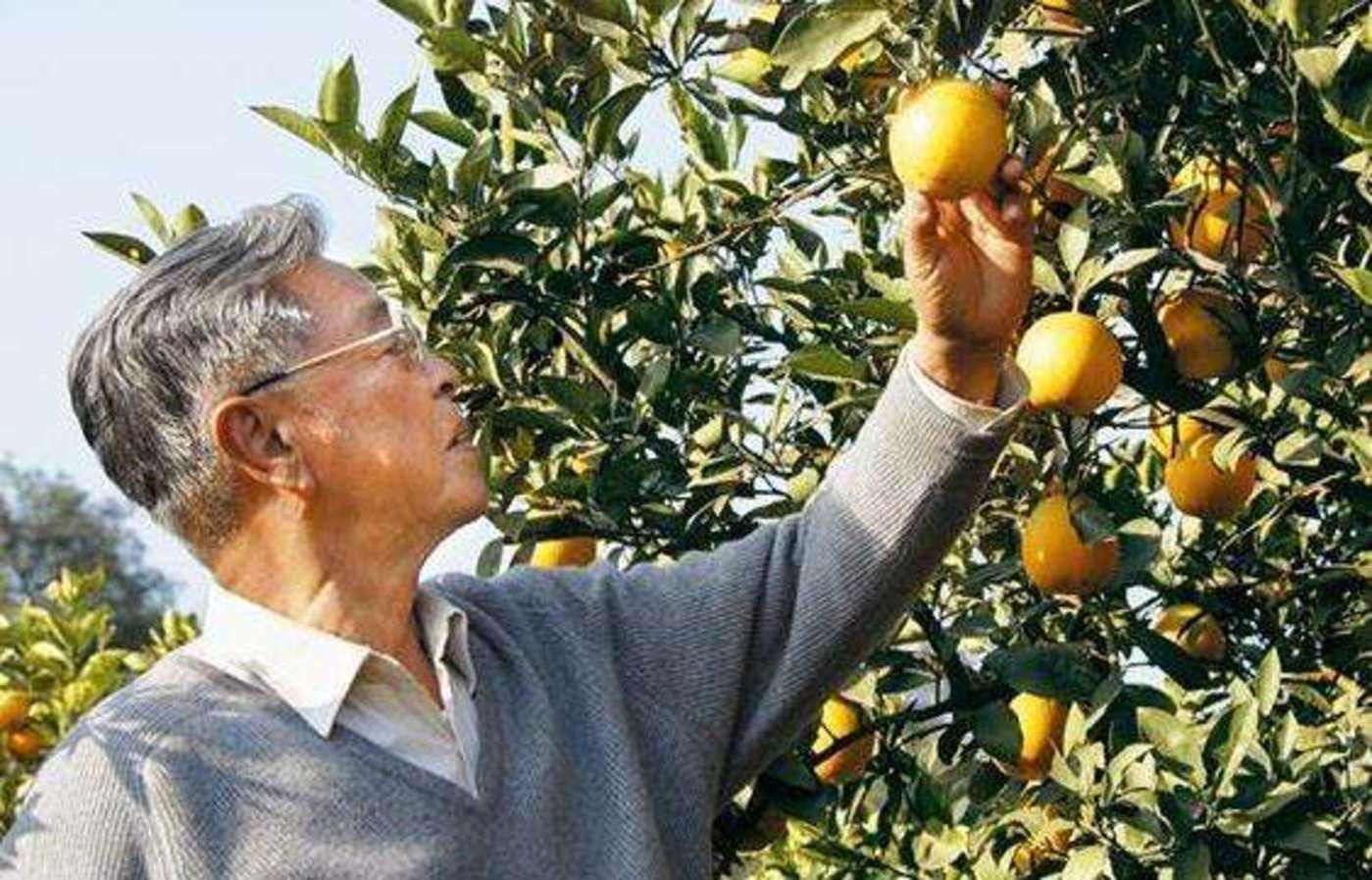 纳瓦尔宝典和财富自由之路,顶级投资人纳瓦尔的高手思维