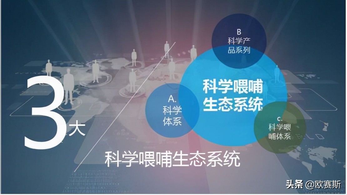 国际品牌进入中国市场的五种模式,国际品牌入驻中国如何打开市场