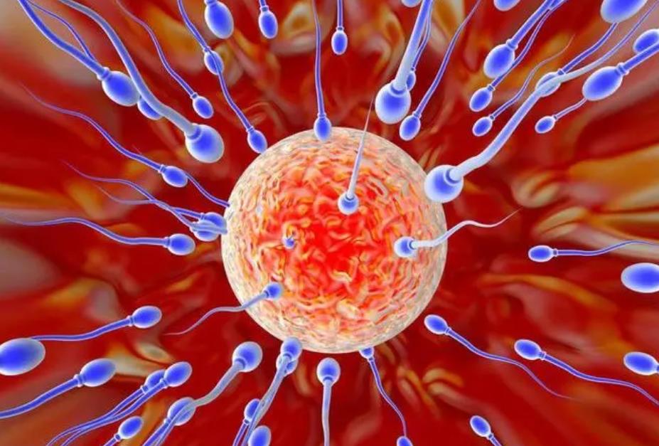 女人没有荷尔蒙什么症状,女人没有乳腺会有什么反应