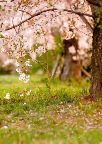 慢赏人生的风景散文,人生最好的风景散文
