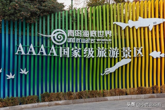 欢迎外地朋友来青岛旅游,外地人去青岛旅游一定要去的地方