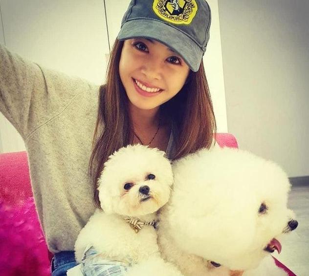 蔡依林演唱会背后的辛酸,蔡依林演唱会直面40岁