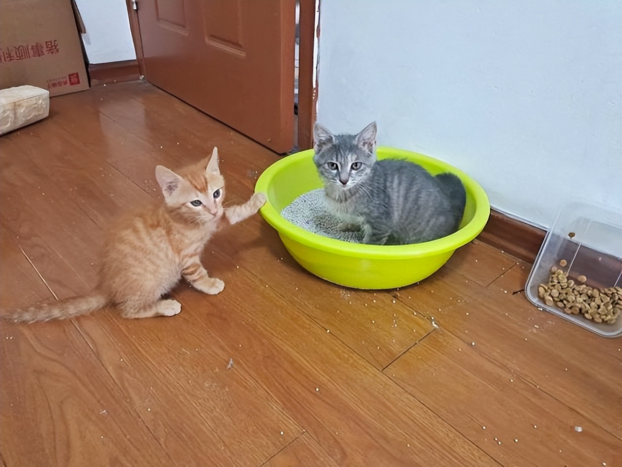 知乎高赞普通人,知乎高赞普通人的一生