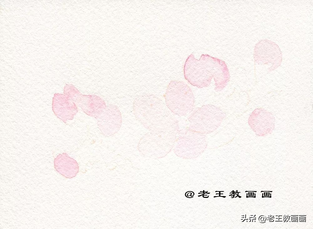 零基础学彩铅画多肉植物,三年级简单画桃花彩铅