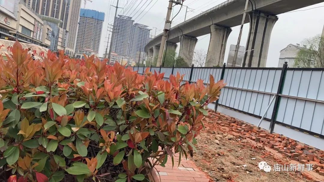 江夏庙山交通规划最新消息,江夏大道改造最新消息