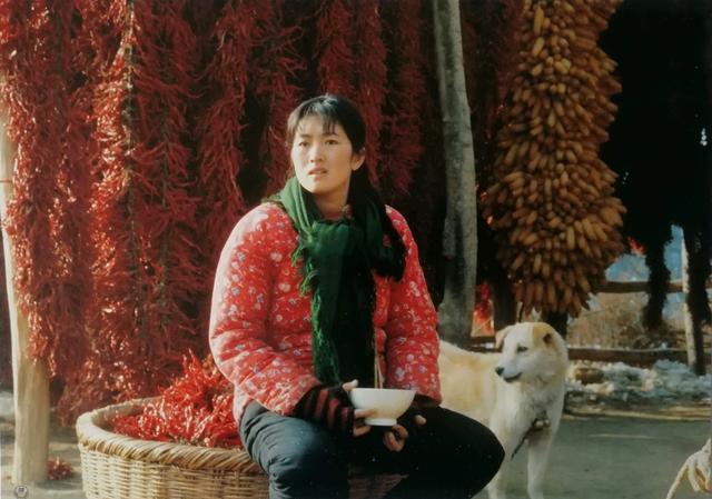 《秋菊打官司》：村长踢了男人的命根，妻子秋菊一级级上告