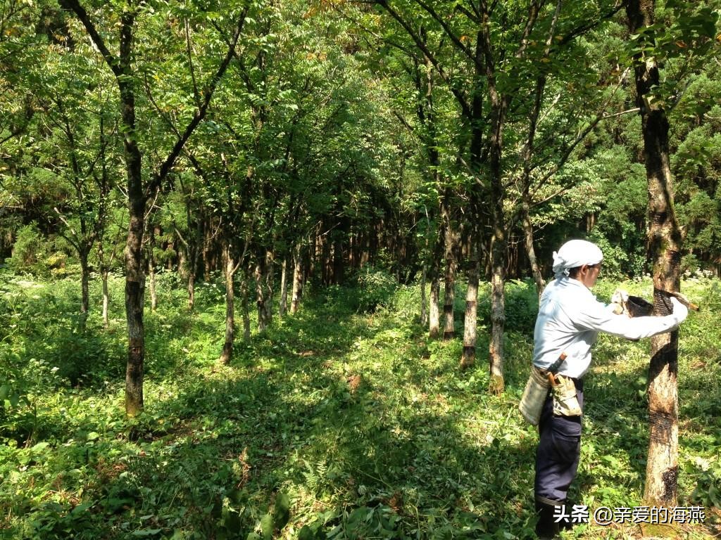 曾经吃香农村10大“手艺人”,一人养活一大家子,如今无人问津了