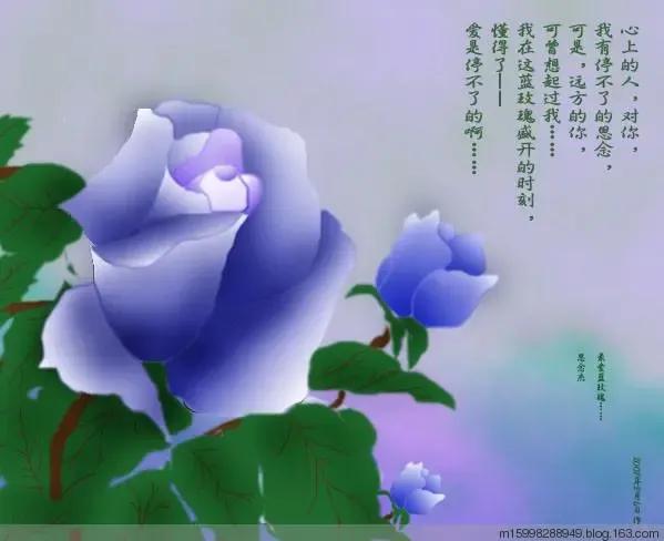 同事相互尊重彼此更珍惜,珍惜同事情谊的词句