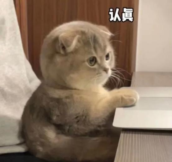 冉静公安进阶课是哪个机构,冉静公安实战课靠谱吗