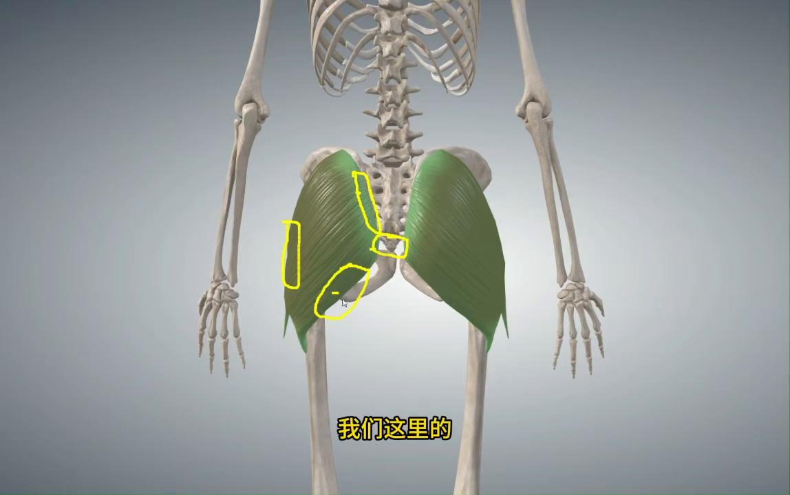 臀大肌松解法,臀大肌痛训练方法