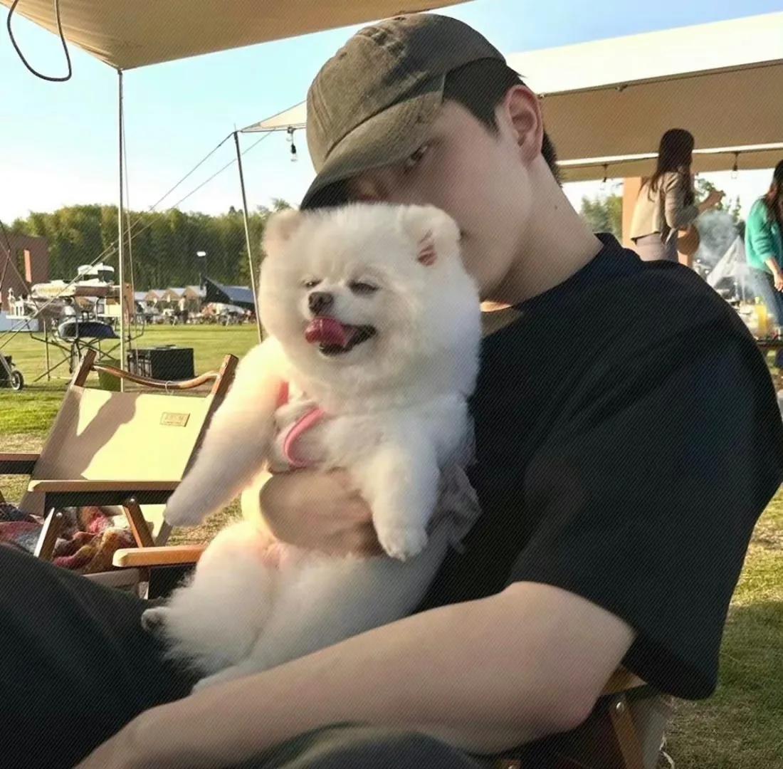 男生头像可爱呆萌,男生头像微信