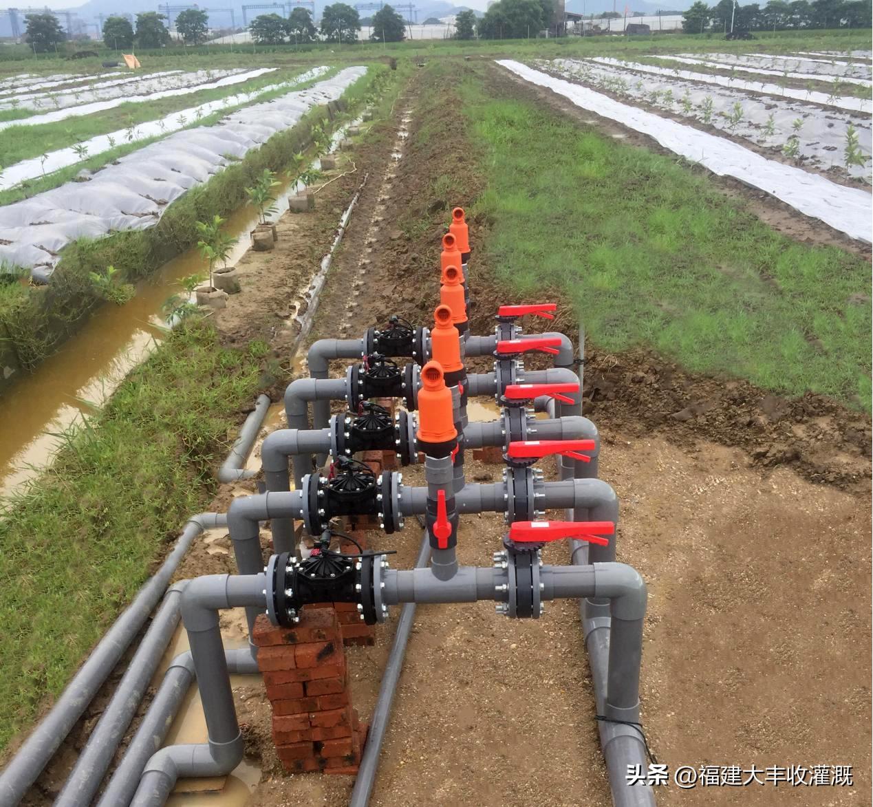 进排气阀原理动态图,进排气阀要多少气压