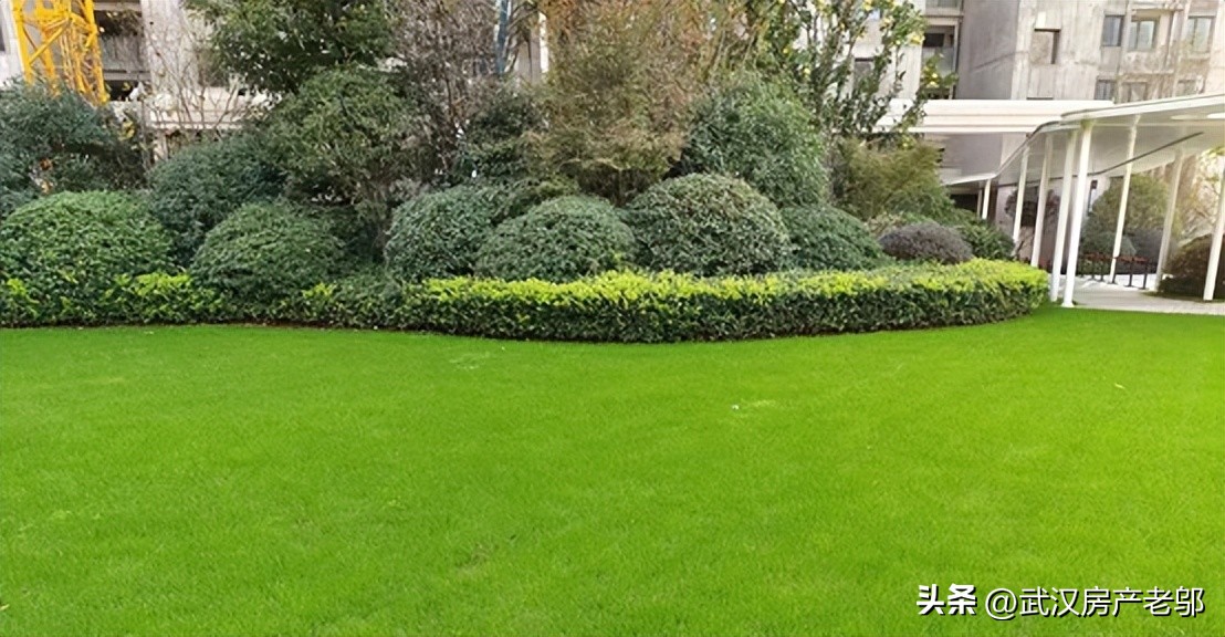 南湖主城区16999起，区域独苗无对手，价格倒挂几K？