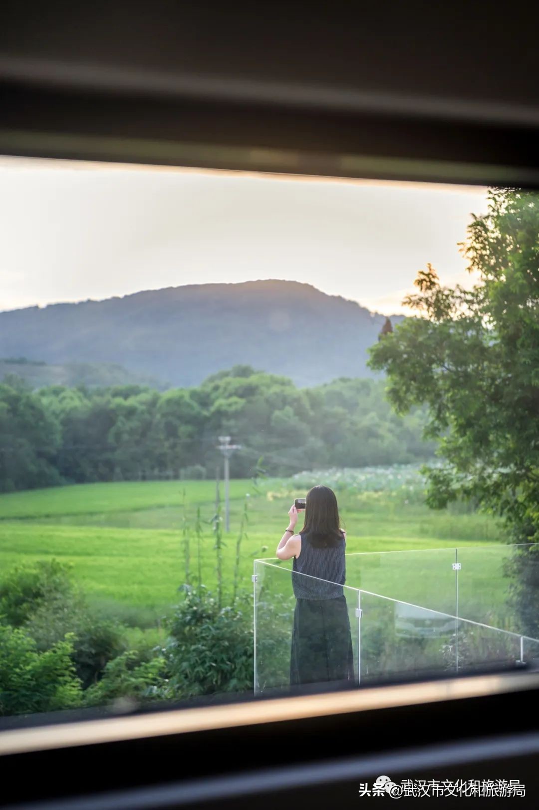 武汉夏天凉快的游玩地方,武汉凉快又免费的景点