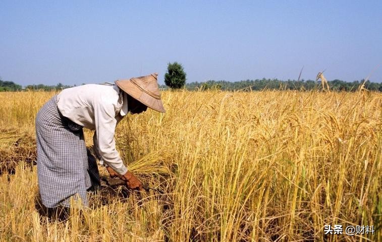 一两银子相当于几品,古代的七两银子抵现在多少钱