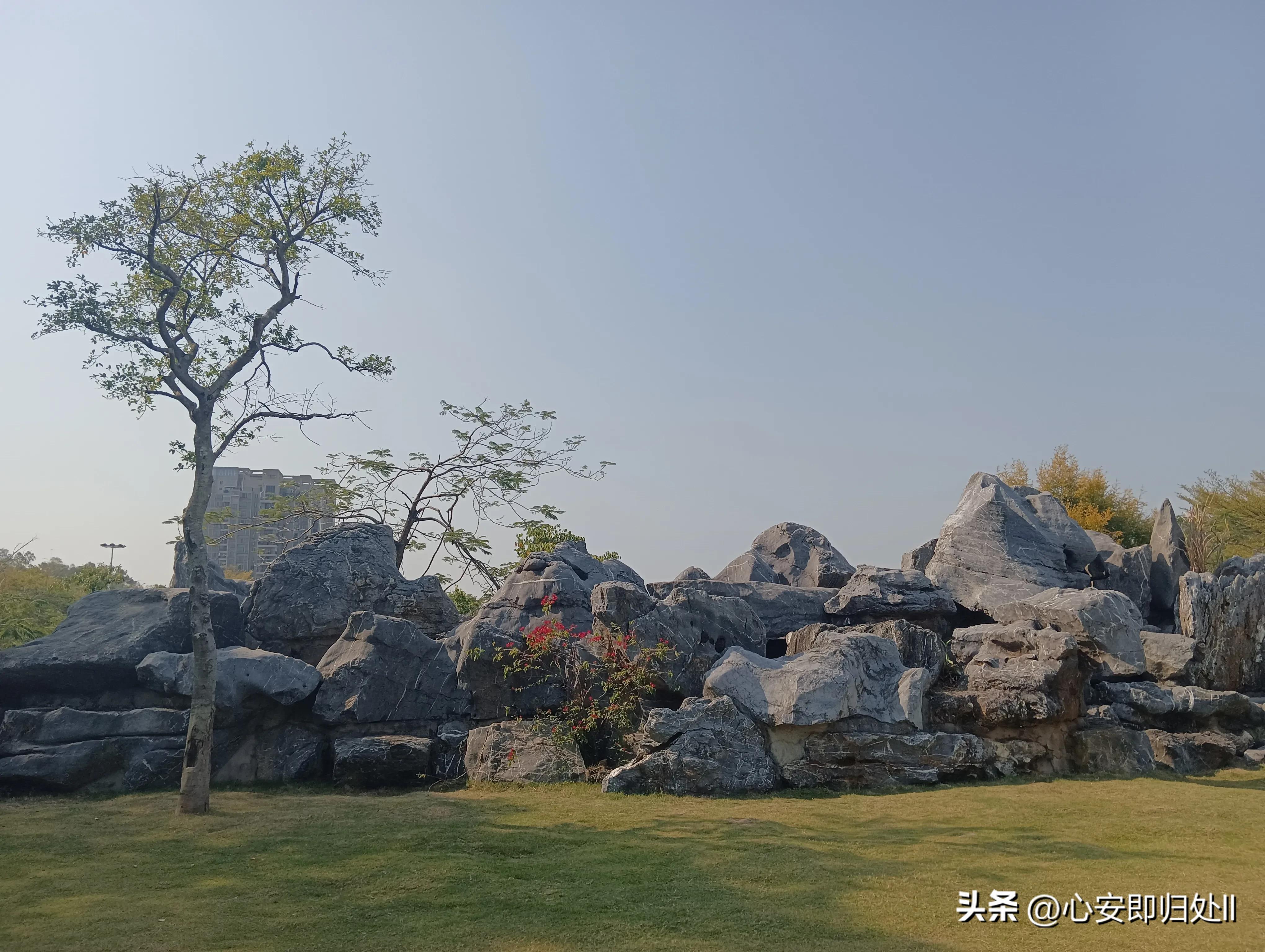 什么东西杀蚊子最好又无毒呢,一招消灭蚊子的小妙方