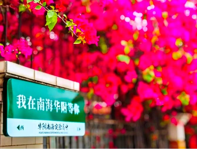 华附南海实验2021高中复读,全力以赴