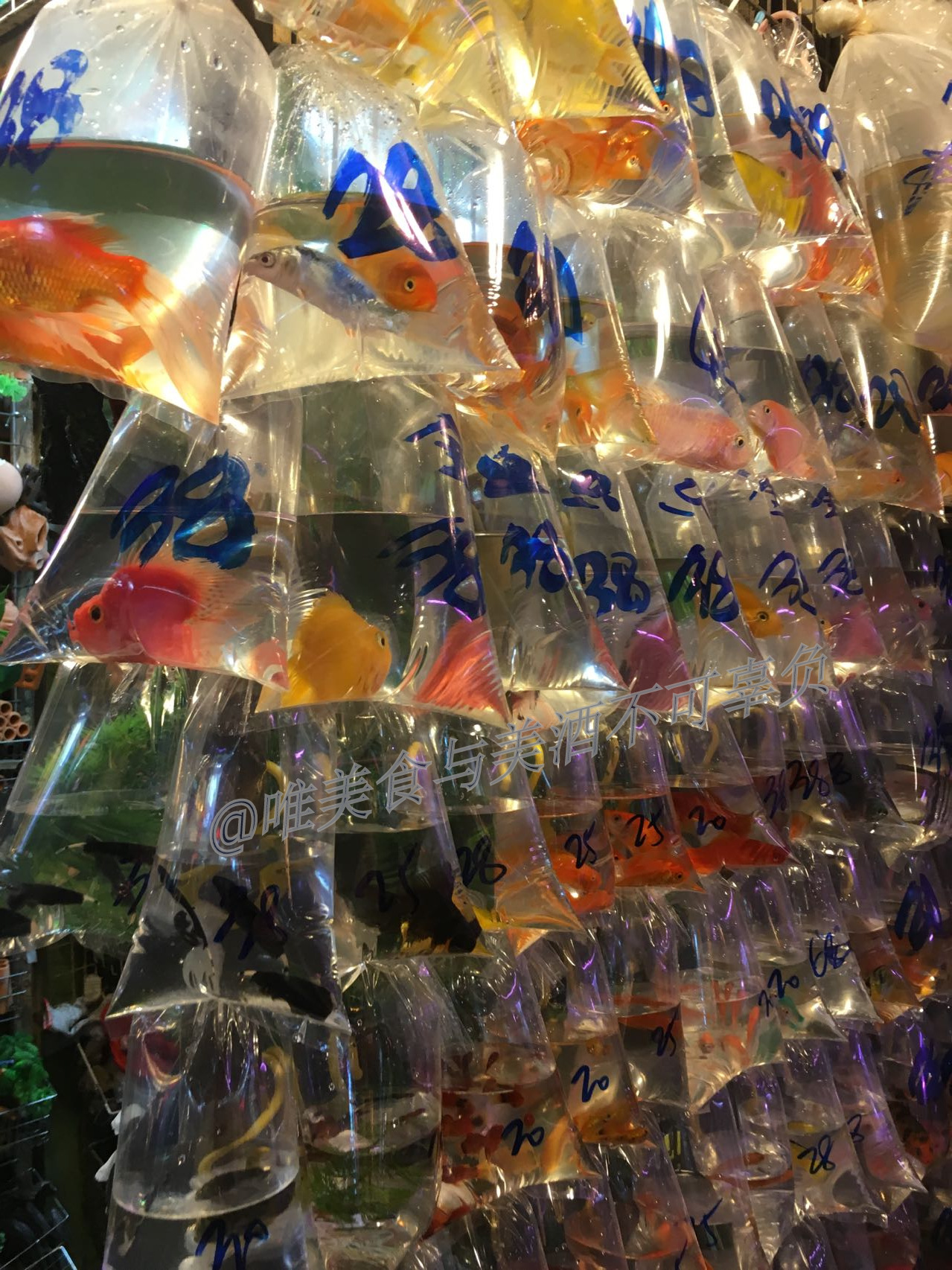 逛香港街市,买蔬菜生鲜,还有美味烧腊、蚝豉干贝,以及人间烟火