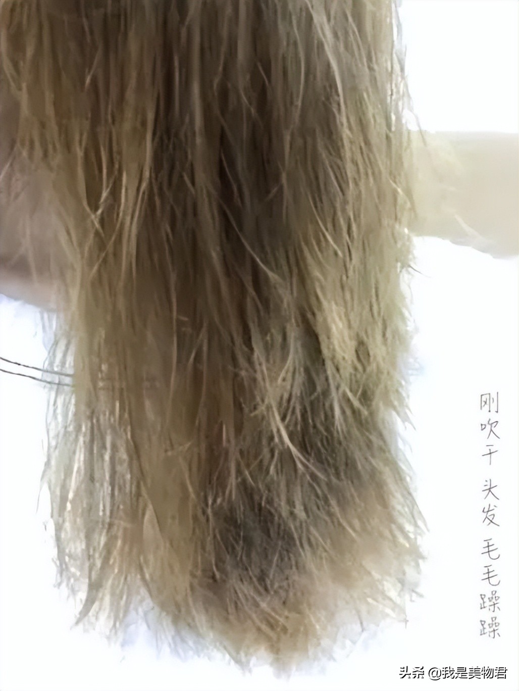 沙发适合的洗护,沙发洗护推荐