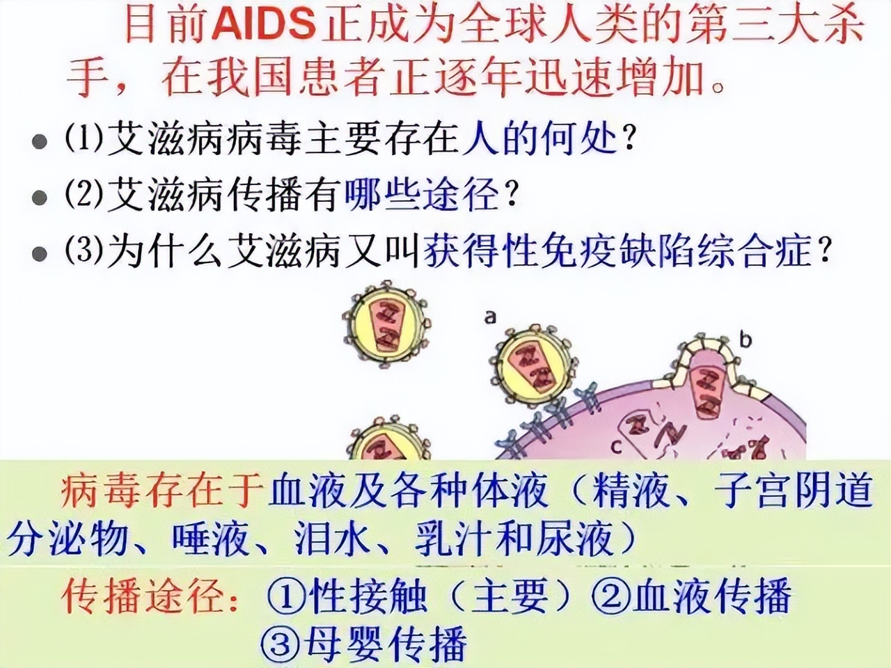 高中生物细胞免疫全知识点视频,生物高中知识点免疫调节
