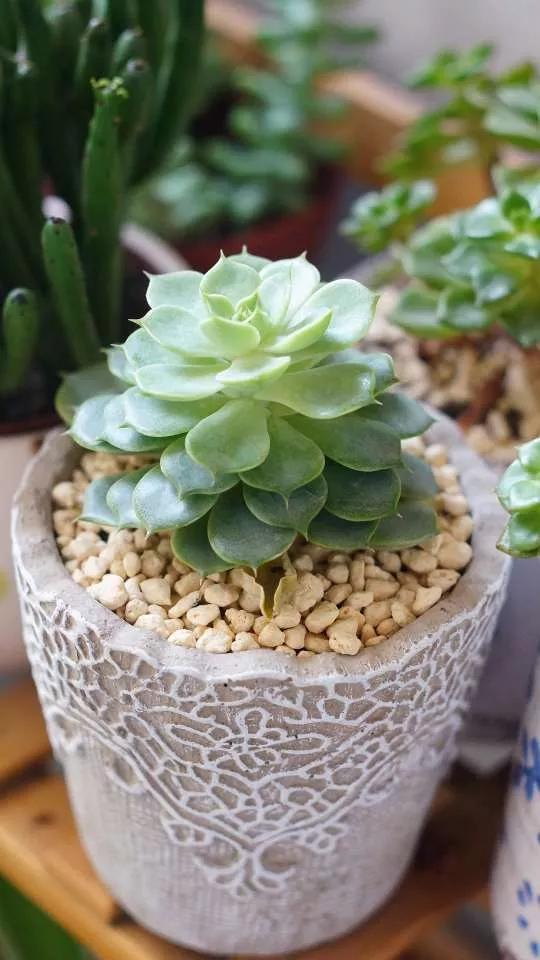 岁月斑驳留下来的都是静好时光,岁月斑驳愿时光静好