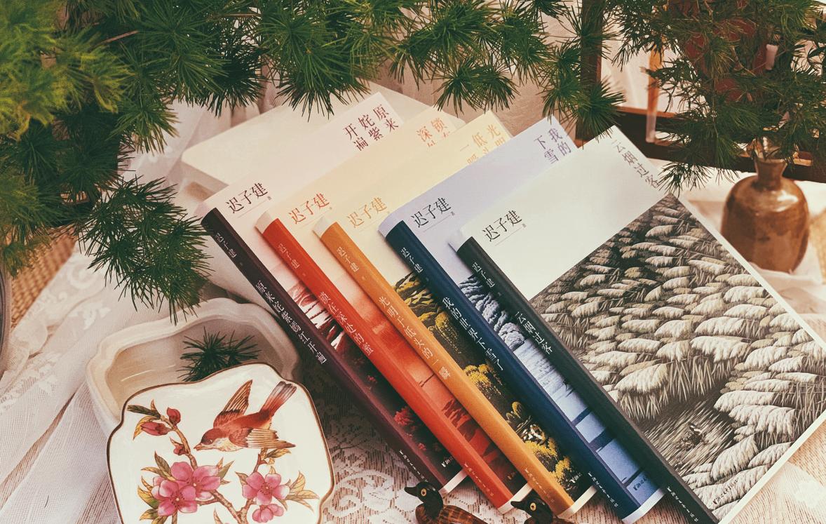 迟子建落在岁月里的温暖,迟子建小说的爱的主题