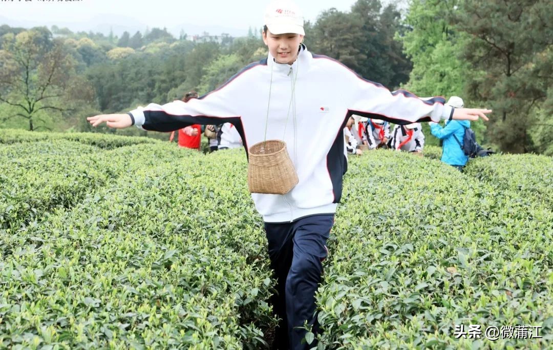 钂叉睙鎴愪匠鑼堕┈涓栧鐮斿鍩哄湴,鍥涘钂叉睙