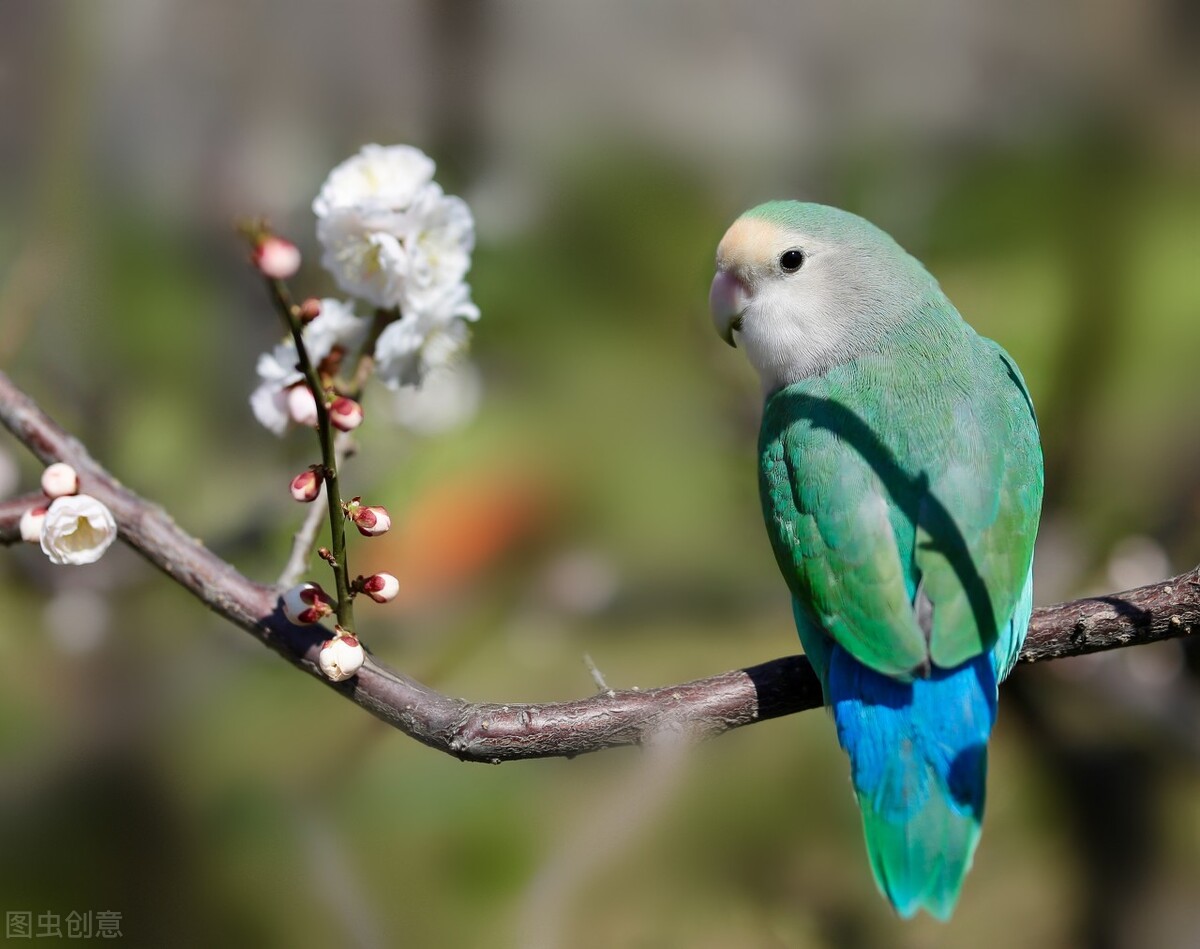 郭进拴走进静升镇,郭进拴原创长篇