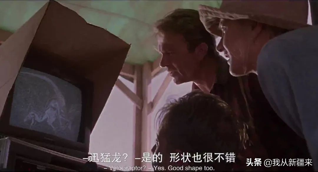 新疆哈密翼龙,天山哈密翼龙