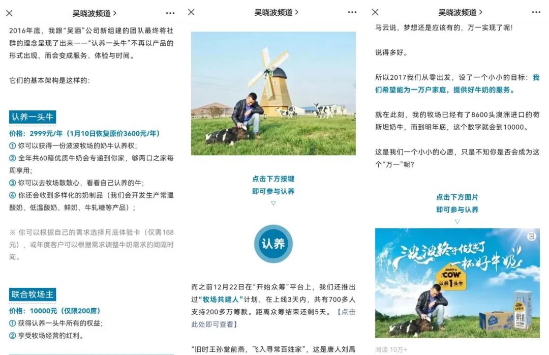 认养一头牛养到多少牛才能有礼品,认养一头牛养牛活动兑奶是真的吗