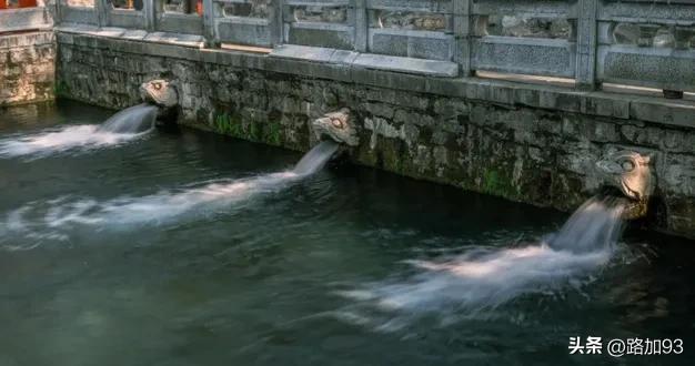 烤鸭科普,烤鸭知识