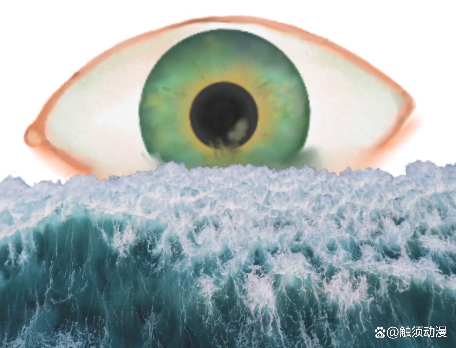 银河足球队动漫第二季,巴西足球的动画片