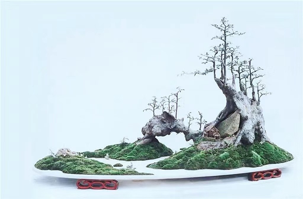 东方园林董事长何巧女经历了什么,园林何巧女