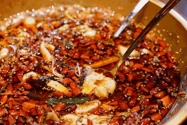 3.6亿条鲤鱼堵塞主要水道，随便一网数百条，澳洲人竟不会吃