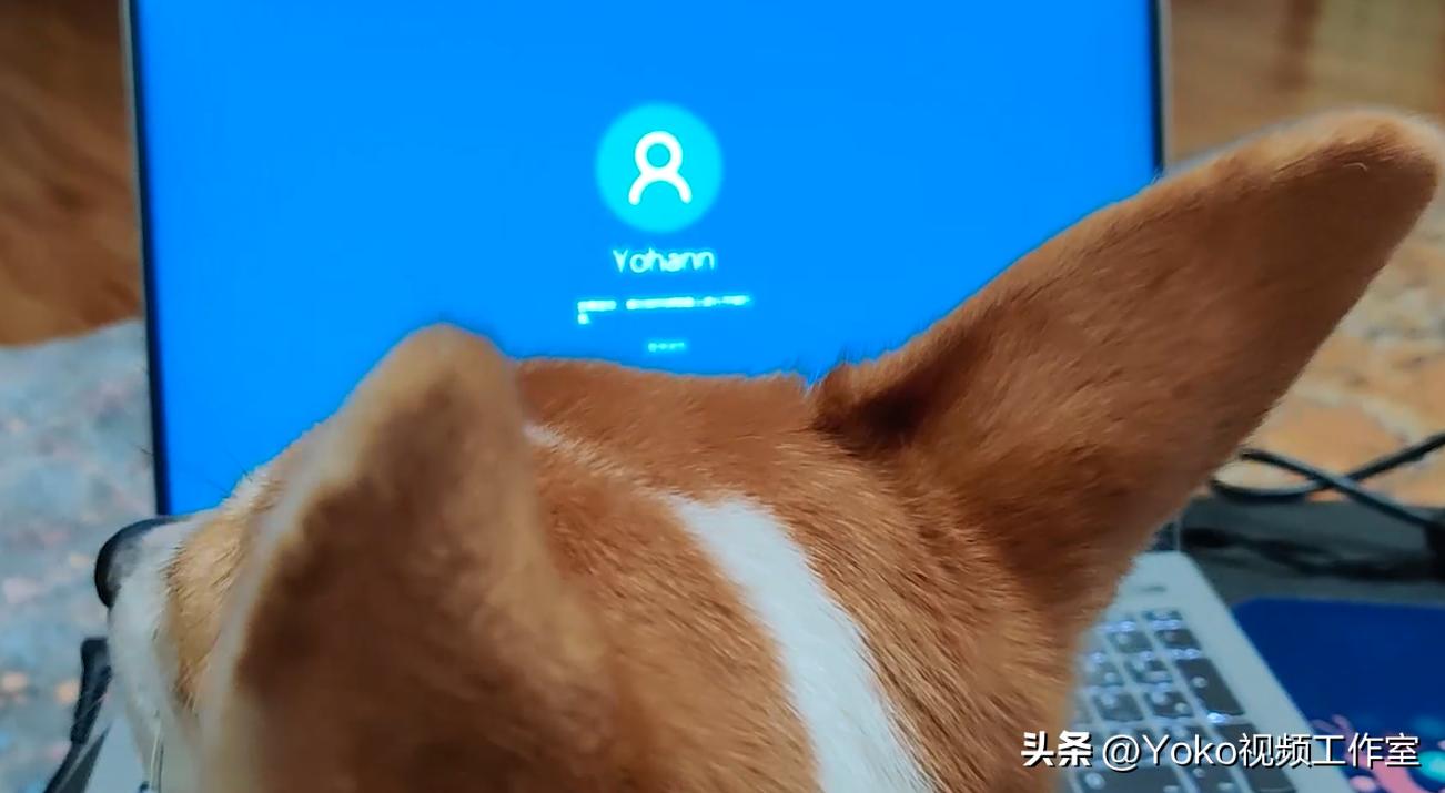 电脑的误区有哪些,对电脑认识的五个误区