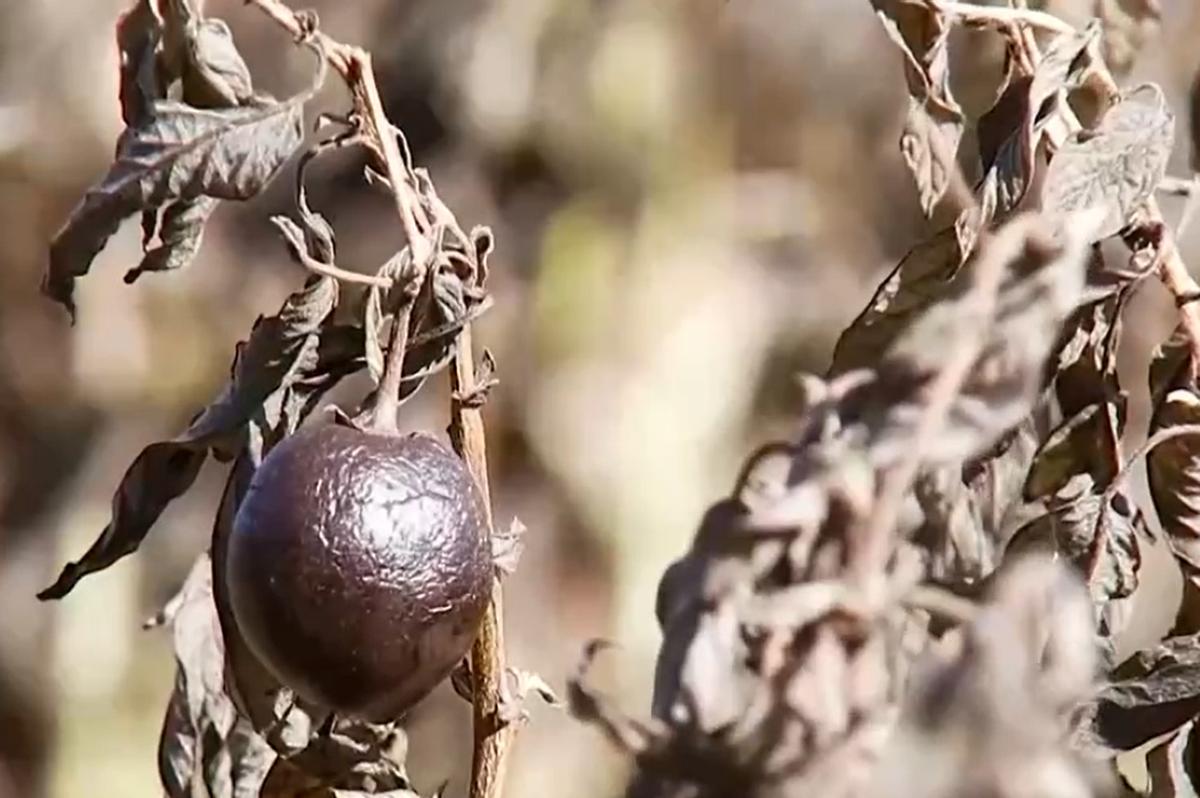 创业失败负债四十万妻子不离不弃,女人创业失败负债37万