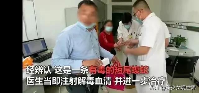 被五步蛇咬到会死吗,被五步蛇咬了走五步会死吗