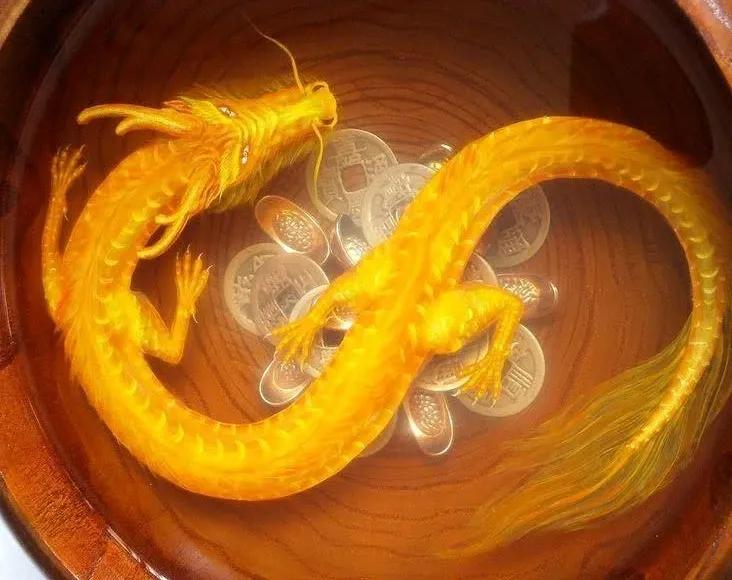 生肖龙和什么生肖最不合,生肖龙婚配什么生肖好