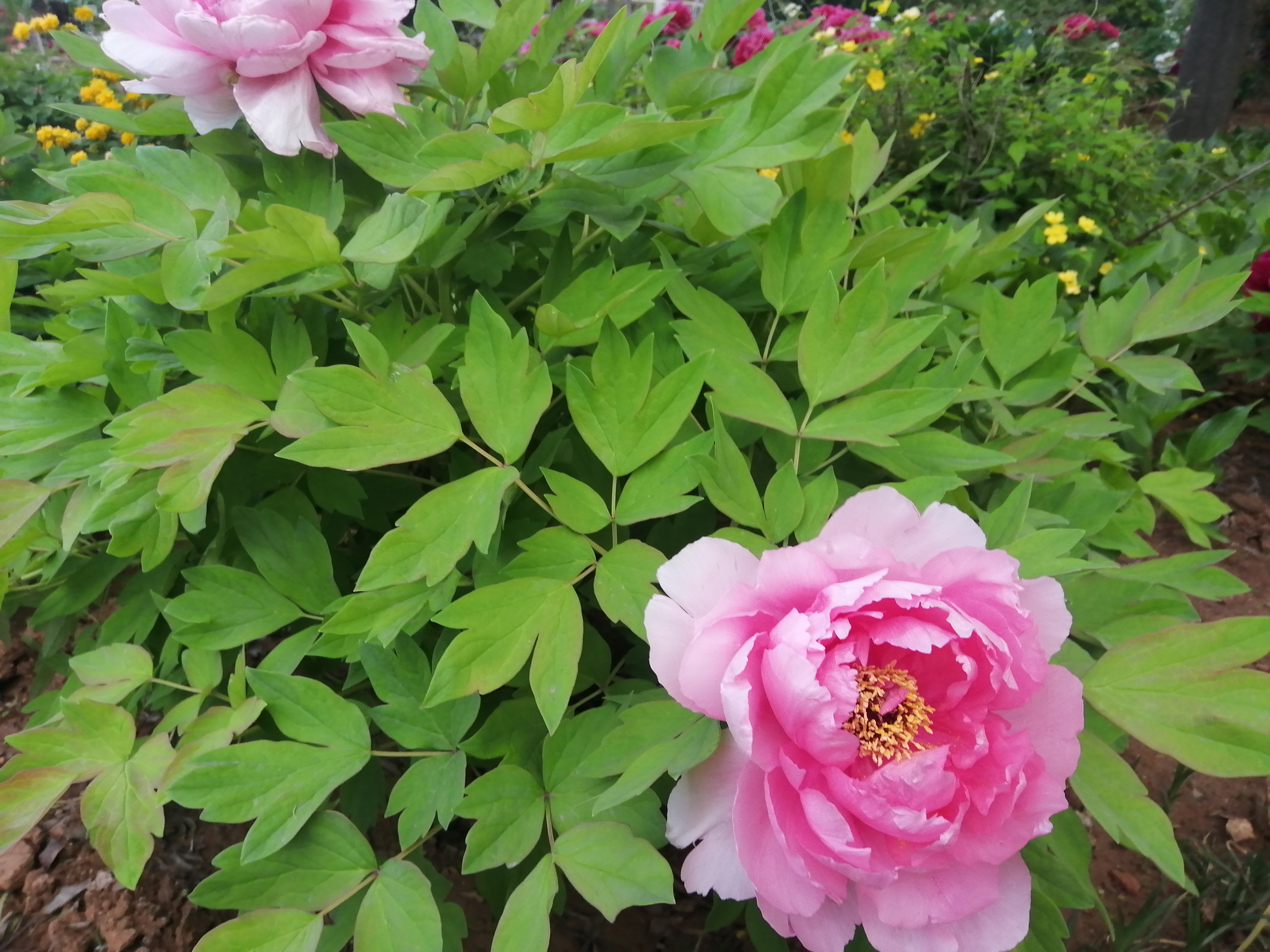 爱出者爱返,爱出者爱返福往者福来下半句