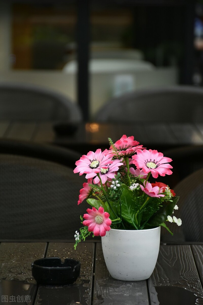 时光若温柔愿你淡淡欢喜出处,时光若温柔愿你淡淡喜欢什么意思