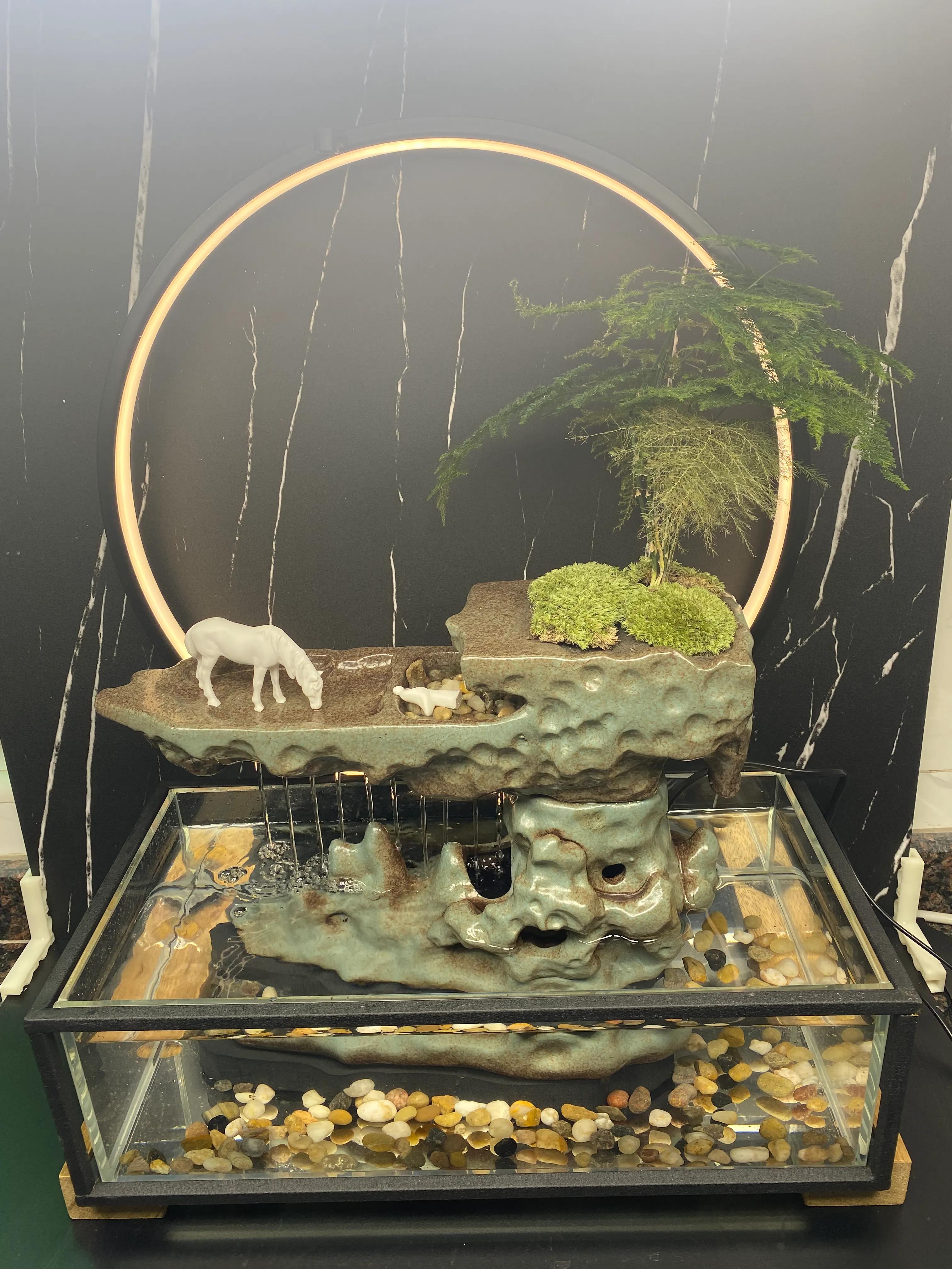 三线闭壳金钱龟生蛋期怎样喂,三线金钱龟饲养方法