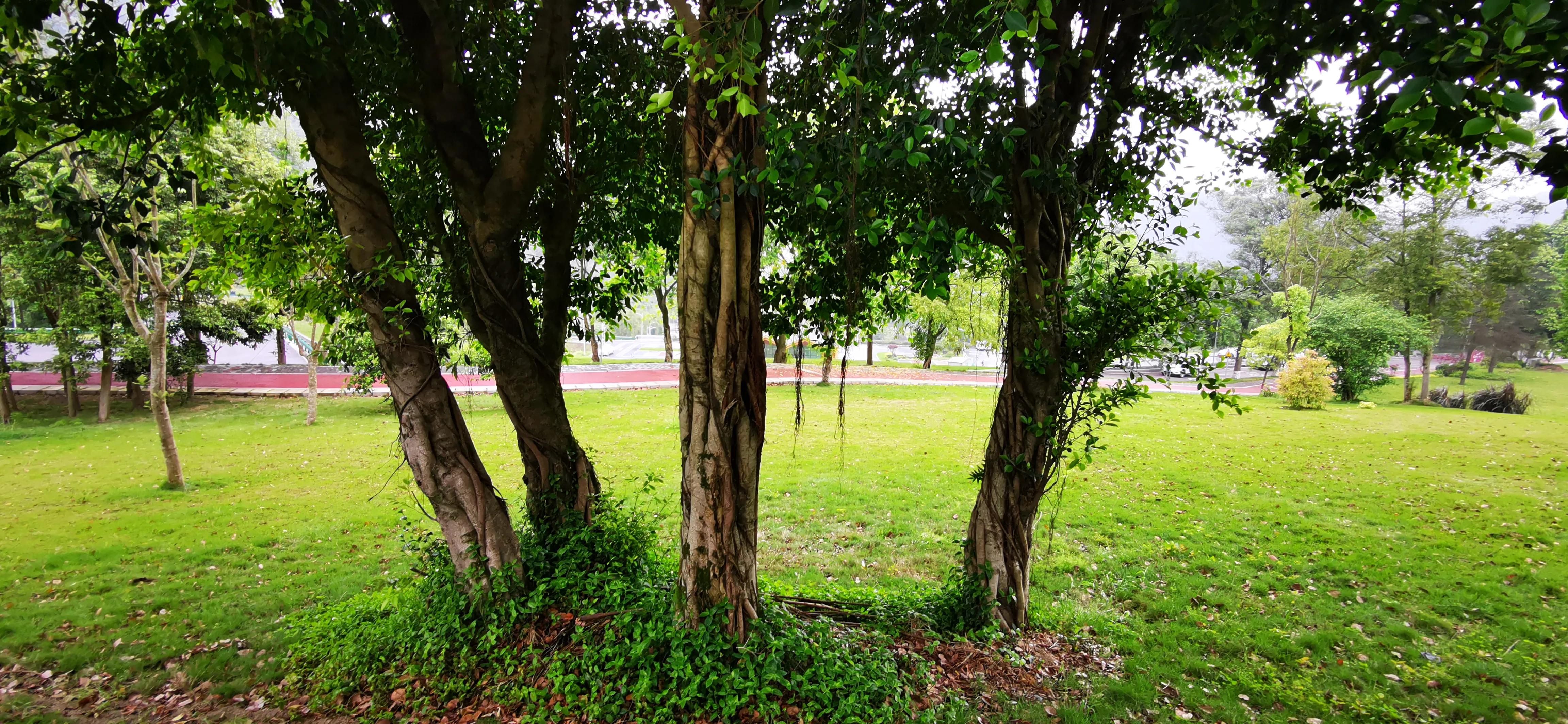 缙云山脚,缙云附近适合散步的地方