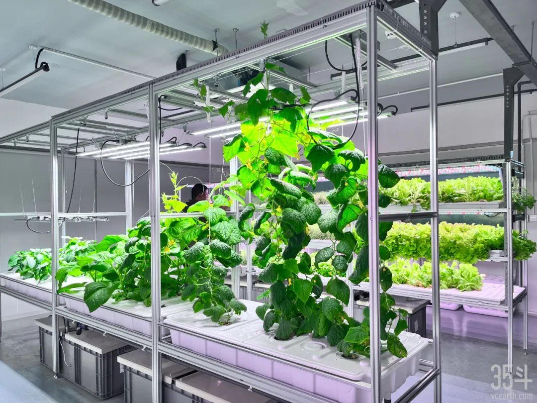 四维生态农业,四维生态科技引领农业未来